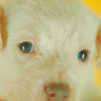 U Know What I Mean (EP)