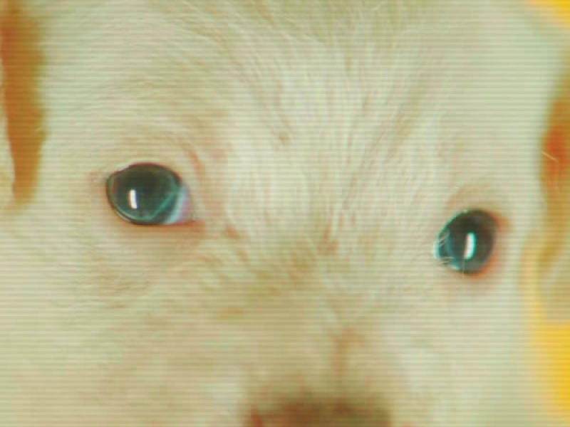 U Know What I Mean (EP)