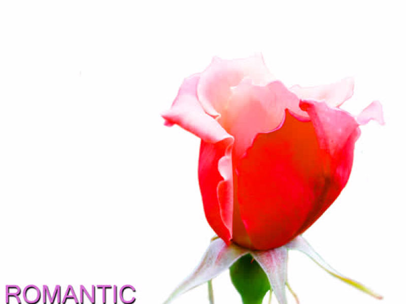 Love Is in the Air: Romantic Classics for Spring