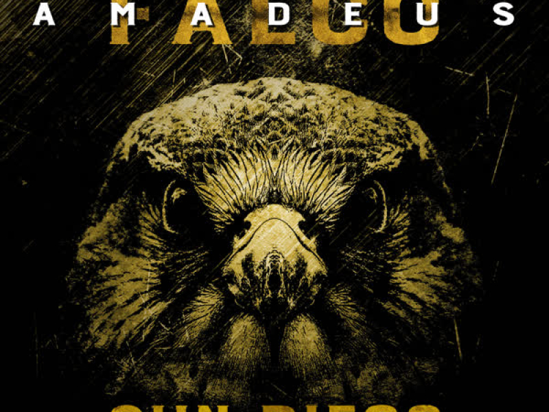 Rock Me Amadeus (Single)