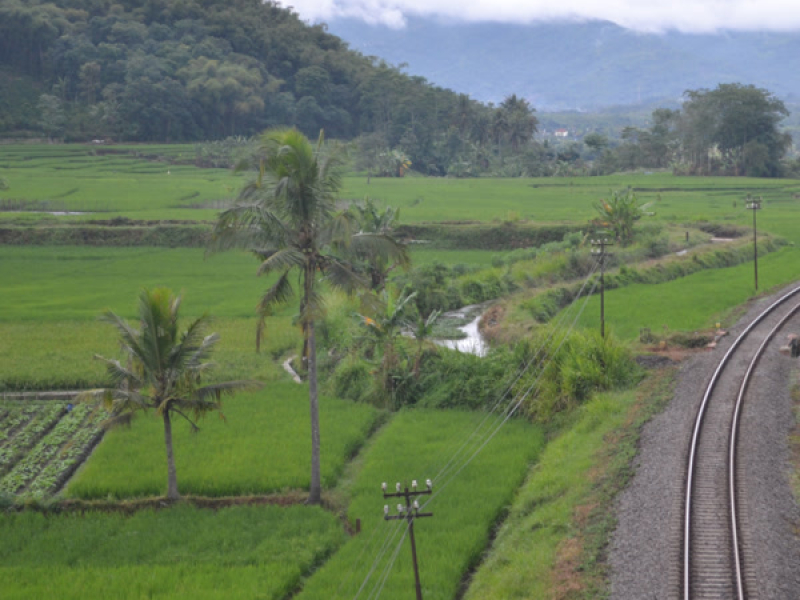 Cinta Mandiri (Single)
