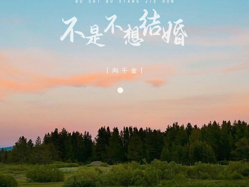 不是不想结婚 (EP)