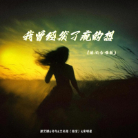 我曾经发了疯的想 (国闽合唱版) (Single)