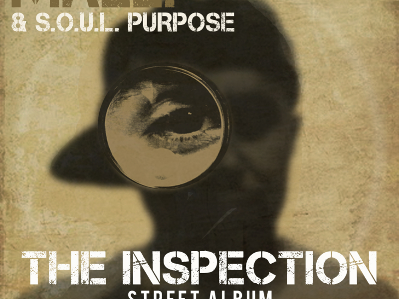 The Inspection