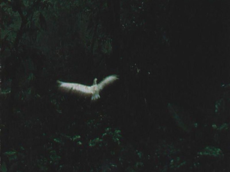 The Art Of The Ballad