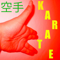 Musica per il Karate Vol. 9 (Single)