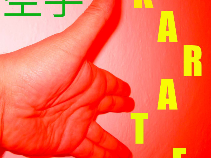 Musica per il Karate Vol. 9 (Single)