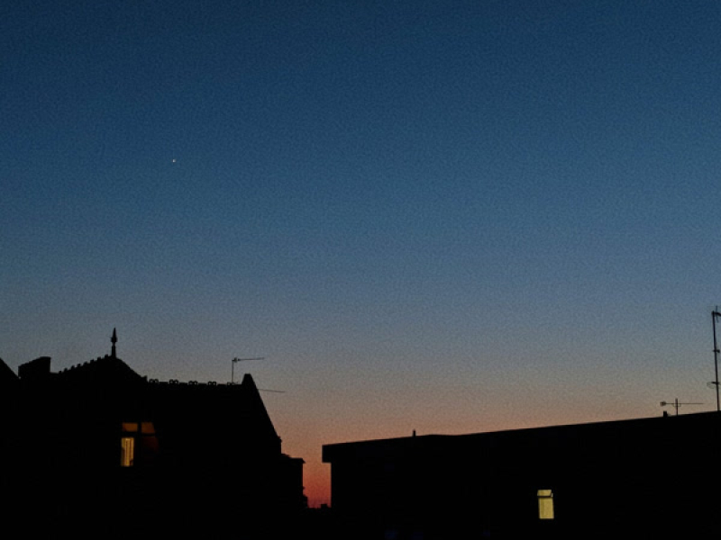 ducky's tea (Single)