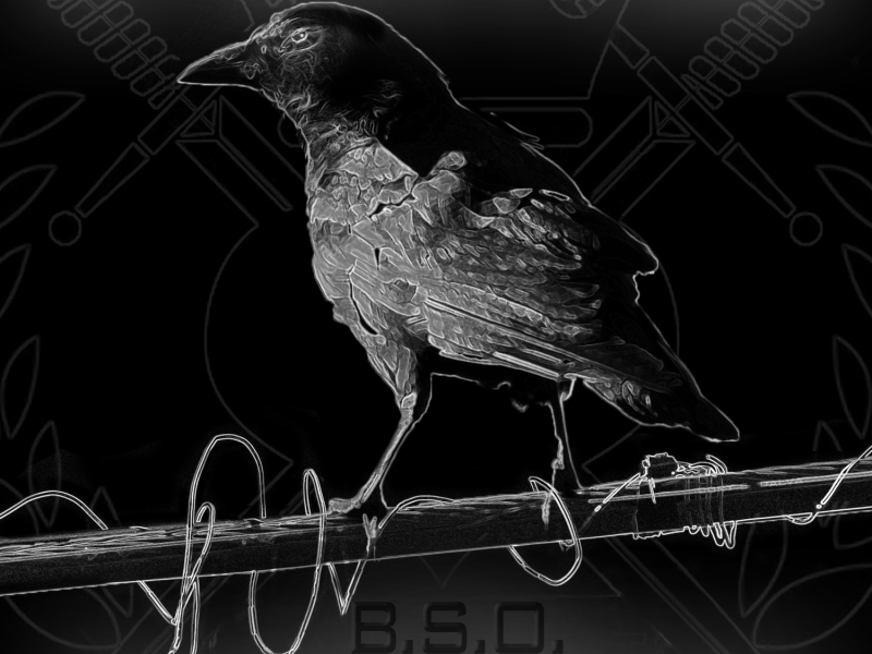 B.S.O. (Black Scale Oakland)