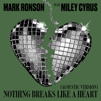 Nothing Breaks Like a Heart (Acoustic Version) (Single)