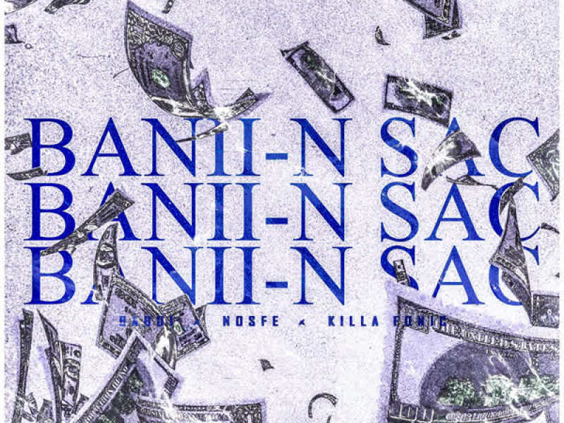 Banii-n sac