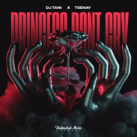 Princesses Don't Cry (Techno) (EP)