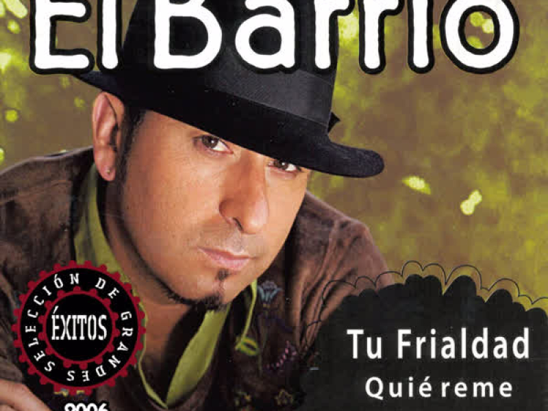 Seleccíon de Grandes Exitos 2006