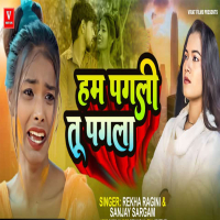 Ham Pagali Tu Pagla (Single)