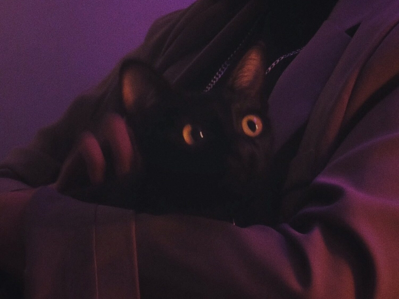 When the Rain Pours (EP)