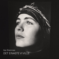 Det einaste vi ville (Single)
