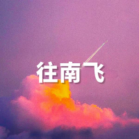 往南飞 (Single)