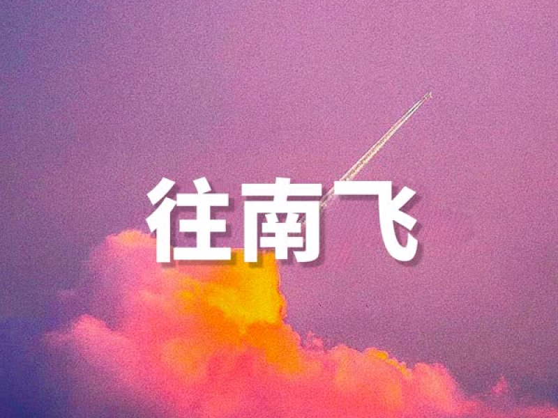 往南飞 (Single)