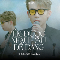 Tìm Được Nhau Đâu Dễ Dàng (DJ Bibo Remix) (Single)