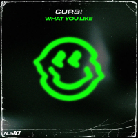 What You Like (Single)