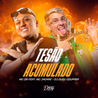 Tesão Acumulado (Single)