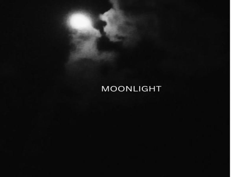 J.FISH-Moonlight (Remix) (Single)