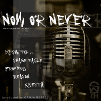Now or Never (Single)