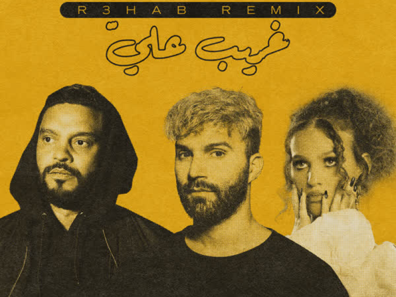 Ghareeb Alay (R3HAB Remix) (Single)