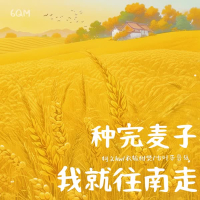 种完麦子我就往南走 (合唱版) (Single)