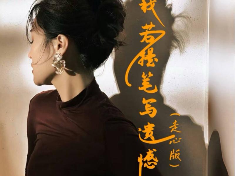 我若提笔写遗憾（走心版） (Single)