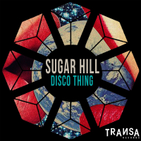 Disco Thing (Single)