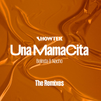 Una Mamacita (The Remixes) (Single)