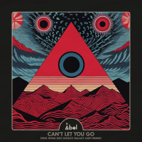 Can't Let You Go (Atjazz Galaxy Aart Remix) (Single)