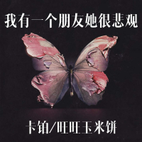 我有一个朋友她很悲观 (Single)