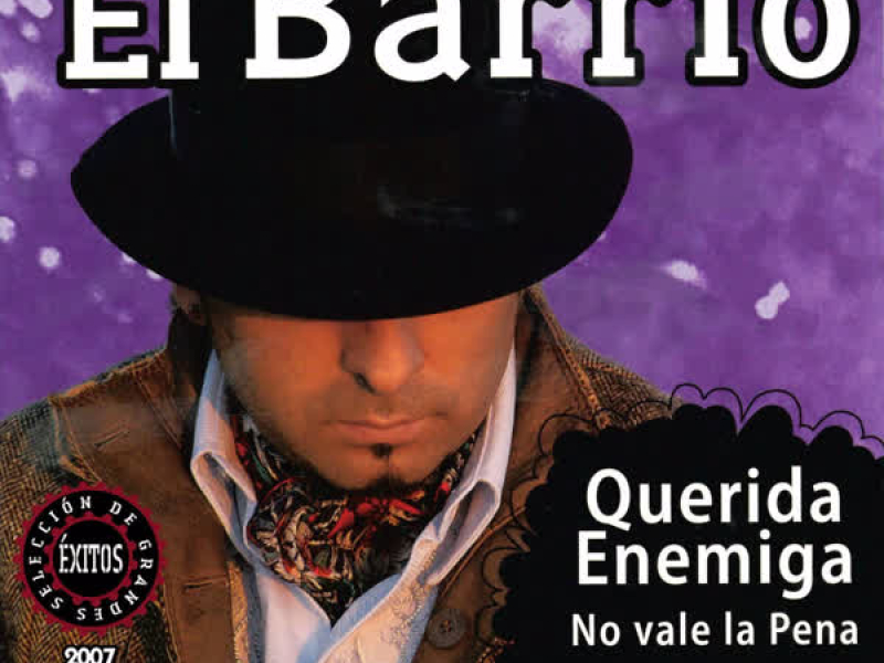 Seleccíon de Grandes Exitos 2007