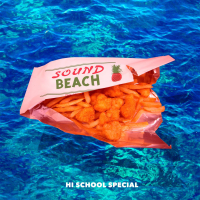 Hi School Special (Single)