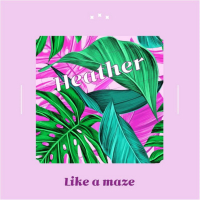 Like a maze (Single)