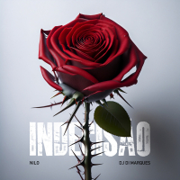 Indecisão (Single)