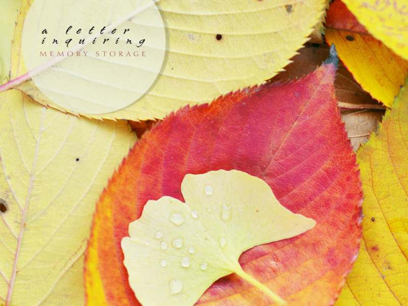 Regards Letter (Single)