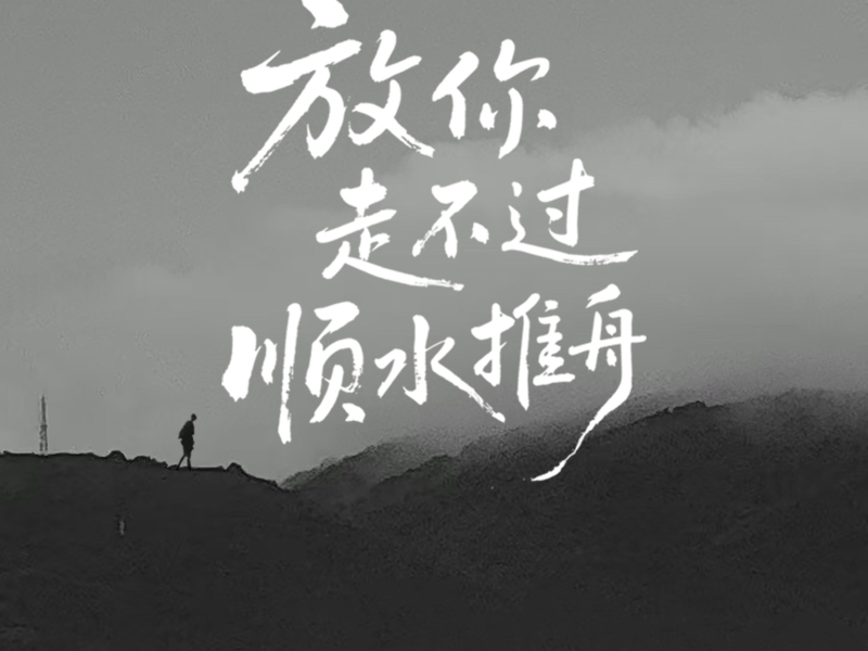 放你走不过顺水推舟 (Single)