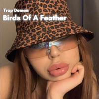 BIRDS OF A FEATHER (Trap Type Beat) (EP)