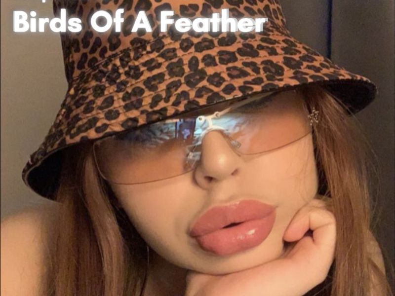 BIRDS OF A FEATHER (Trap Type Beat) (EP)