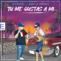 Tu Me Gustas a Mi (Single)