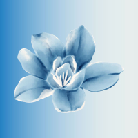 a town with an ocean view (Single)