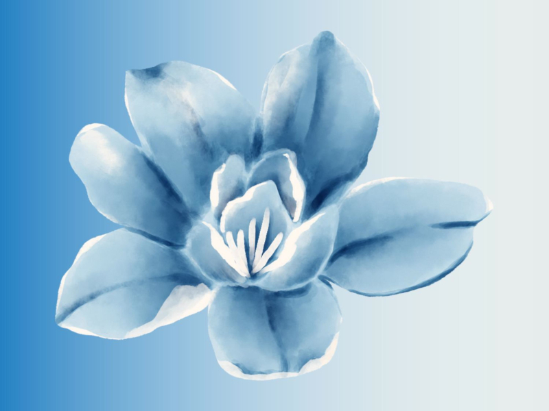 a town with an ocean view (Single)