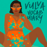 Vulva Vocabulary (Single)