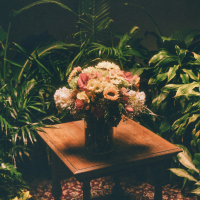 Fruit Takes Time (Single)