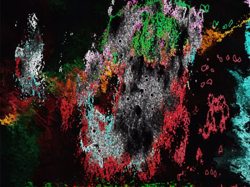 Take Me Away (Single)