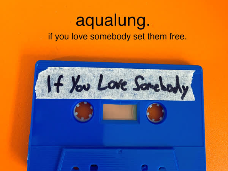 If You Love Somebody Set Them Free (Single)