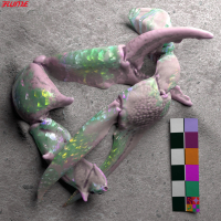 Let You Know (Nathan C Remix) (Single)